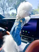 ペット用犬服【青色・カジュアルデザイン・テディベアスタイル・リード付き・四脚タイプ】
