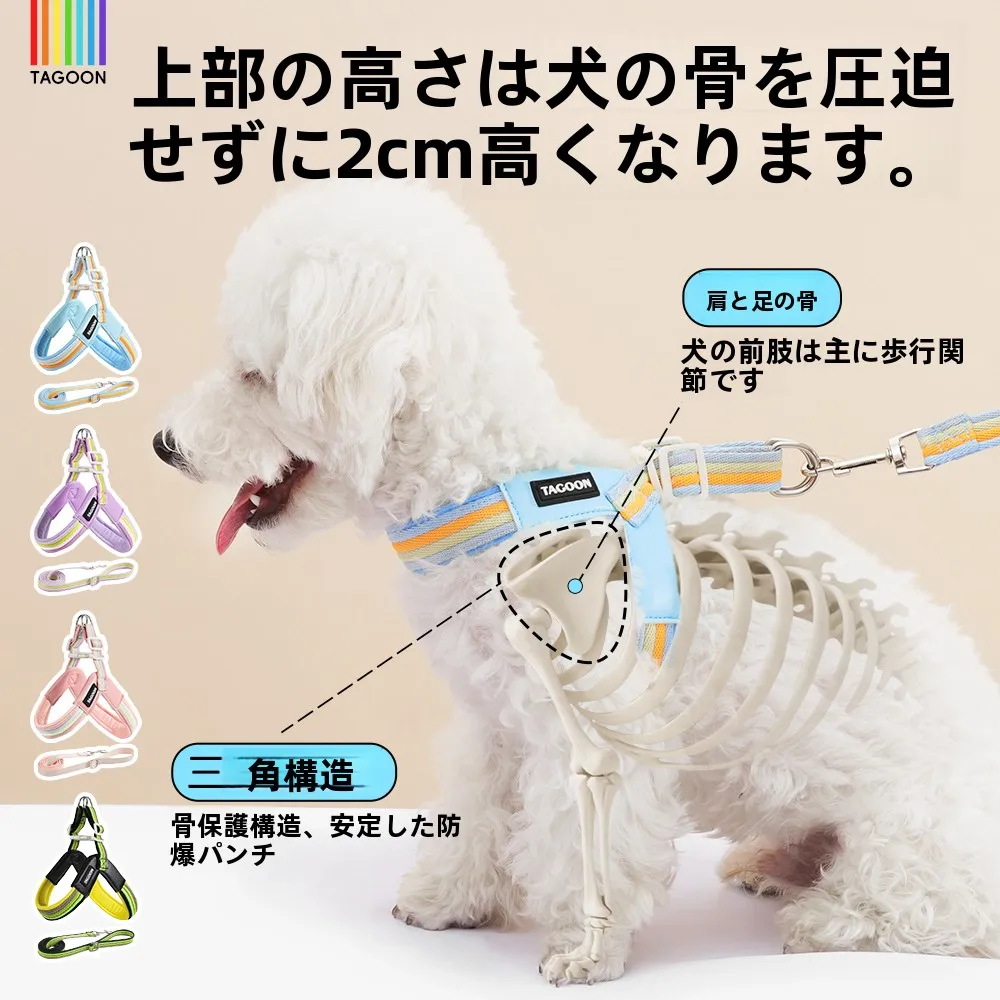 犬用ハーネス付きリード【防脱出設計】の実用性と選び方