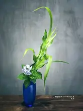 リウシアオバ瓶 大型花瓶【茶空間用・インテリア雑貨・中日式生け花】