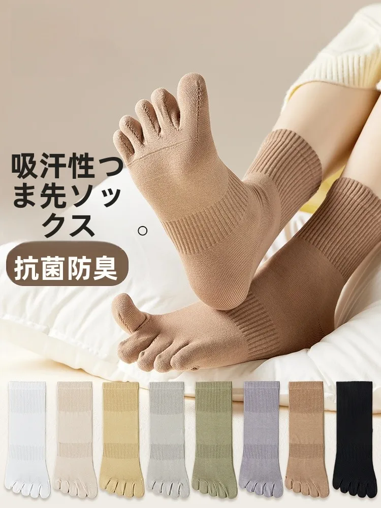 秋カラーに合う靴下は、実は猫のデザインが一番？