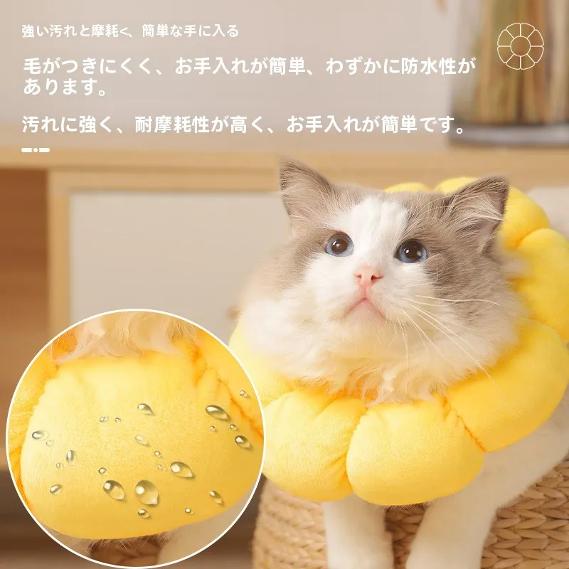 猫飼いが買ってよかったもの・悪かったもの正直に言う｜術後ケアで安心感を届けるひまわりエリザベスカラーの実測ガイド