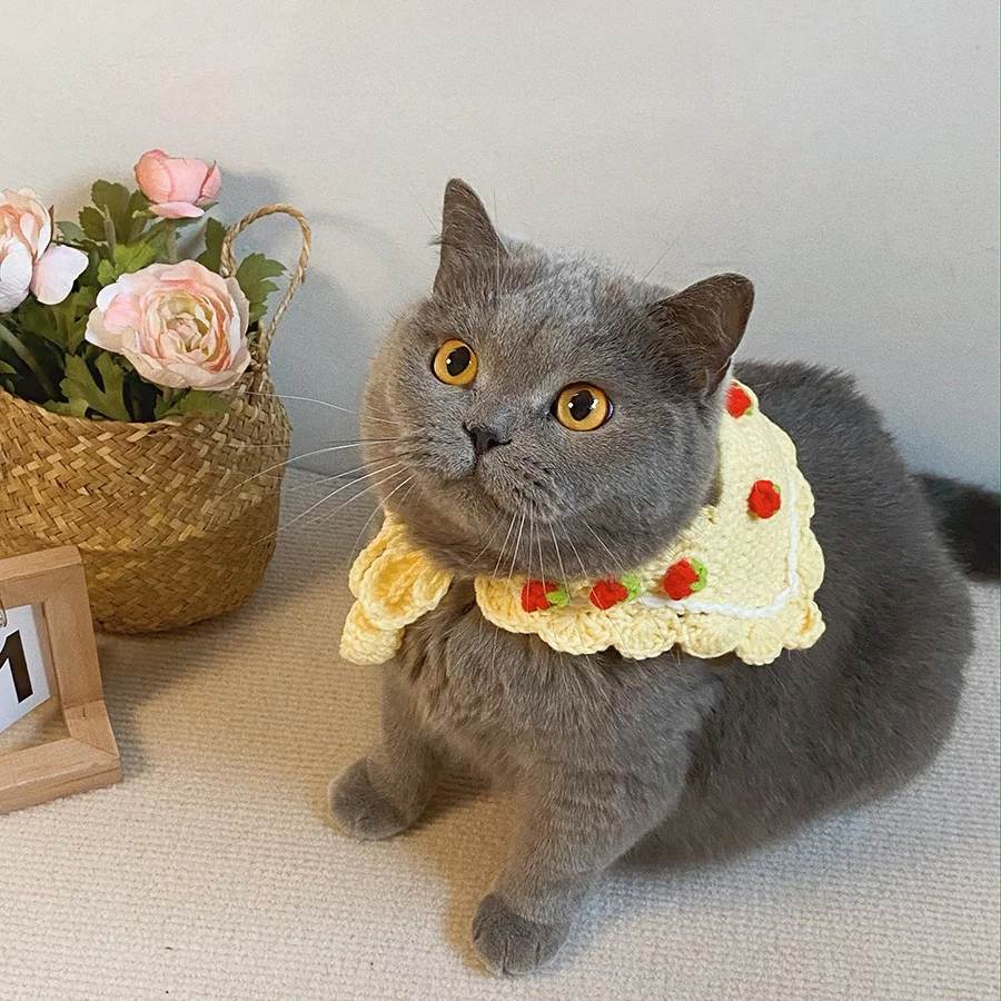 猫用首輪【ストロベリー柄・ネイビー・編み込みデザイン】の実用性と選び方