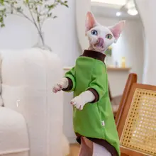 GINGERAIN コットン製 デヴォンレックス猫用Tシャツ【夏用・保温・コントラストカラー】