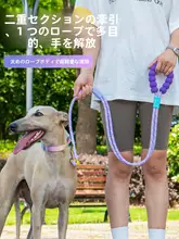 多機能犬用ハーネスリード【ハンズフリー・ランニング用・ウエスト装着・S/M/L対応】