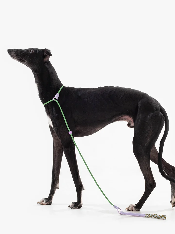 犬用ハーネス【防爆設計・トレーニング用・安心のリード】