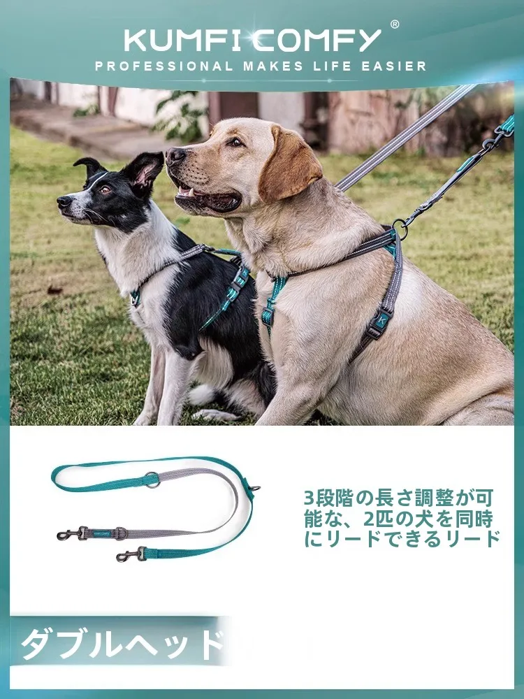 犬 リード ハーネス ブランド おすすめ4選：どんなものがあるの？価格帯やカラーバリエーションも徹底解説