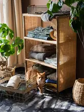 盆栽 屋内装飾用 本物の植物 樹木スタイル