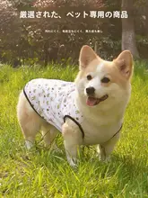 春夏用 薄手防虫＆防汚ペット用ベスト【柴犬・コーギー対応】