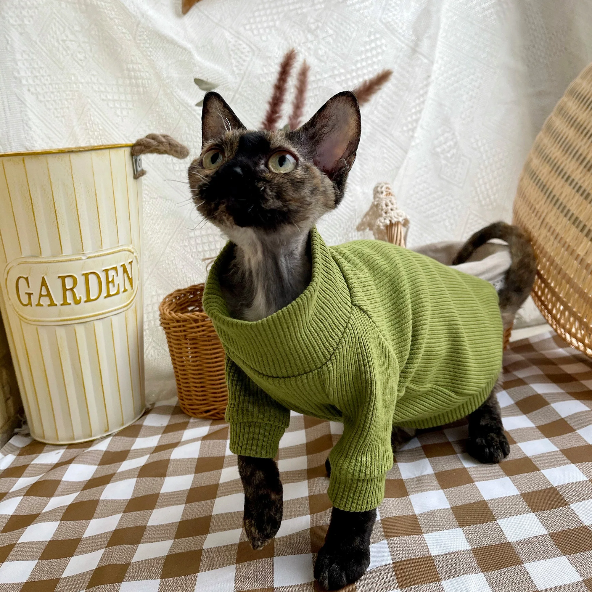 猫飼いが買ってよかったもの・悪かったもの正直に言う｜スフィンクス向け厚手ハイネックセーターの徹底解説