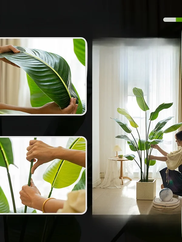 でかい観葉植物を部屋に導入するには？リアルな選び方と、心を癒す存在の秘密