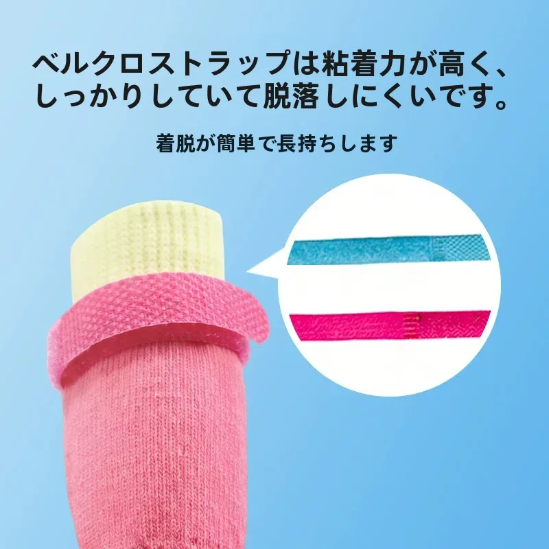 小さな犬が夏を快適に過ごせる、通気性と見た目を兼ね備えたシューズは？