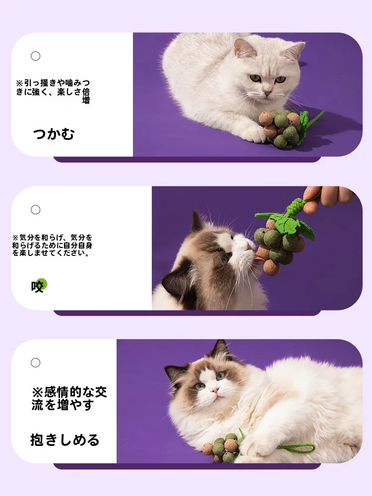 猫用薄荷ボールおもちゃ：一人暮らし向けの遊び心と歯磨き効果を実証