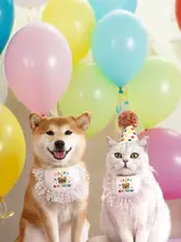 ペットの誕生日パーティーセット【猫と犬用・フリンジ付きエプロン・ドット柄キャップ・ケーキ装飾】