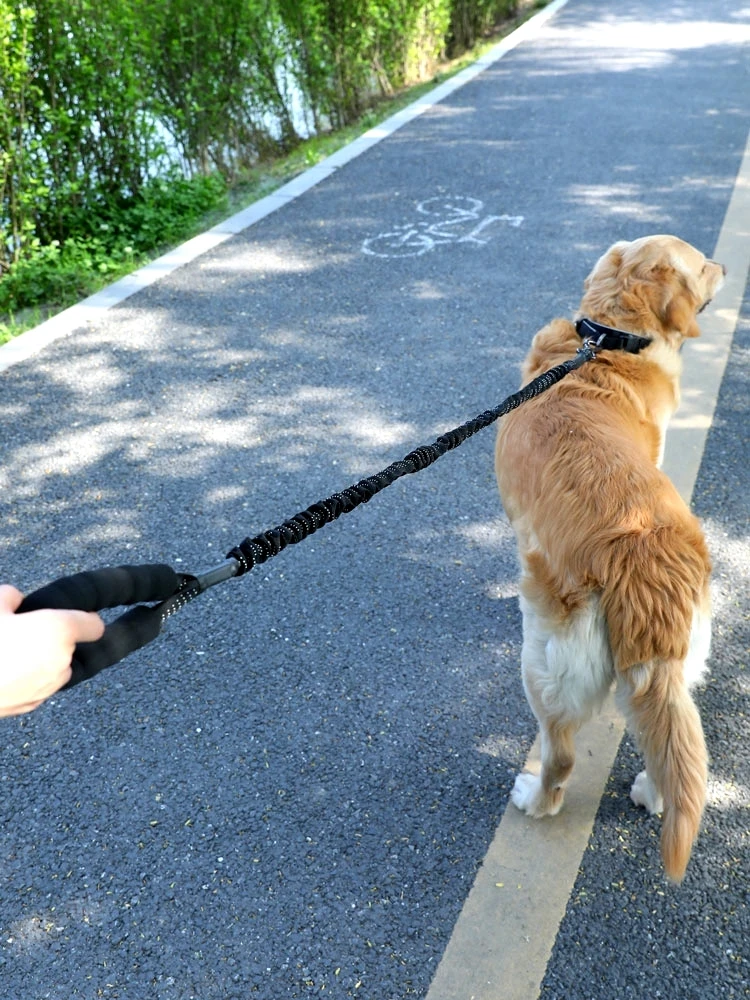 中型犬用抗震リード：ゴールデンレトリーバー・コーギー対応の耐久性と通気性のバランス