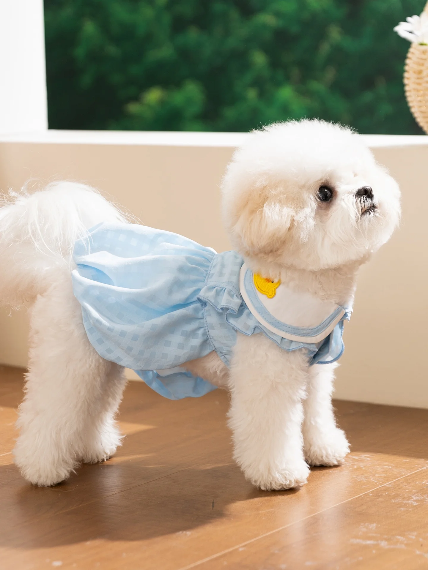 hipidog テディベア風デザインの犬用夏用ドレス：通気性と日常散歩に最適なフリル付きドレス