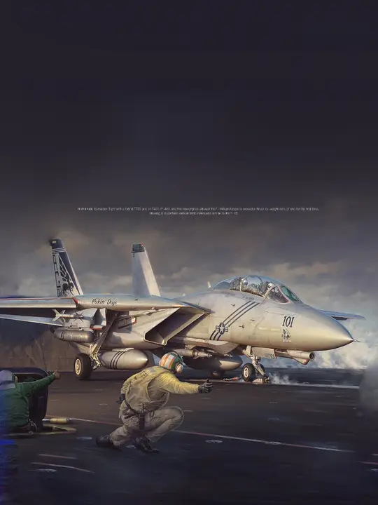 F14B BOMBCAT 模型【戦闘機・精巧なデザイン】