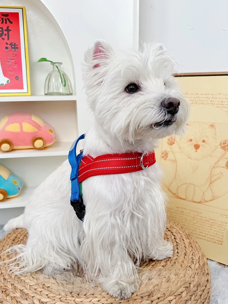 犬用ハーネス【胸部牽引・脱出防止・コーギー対応】の実用性と選び方