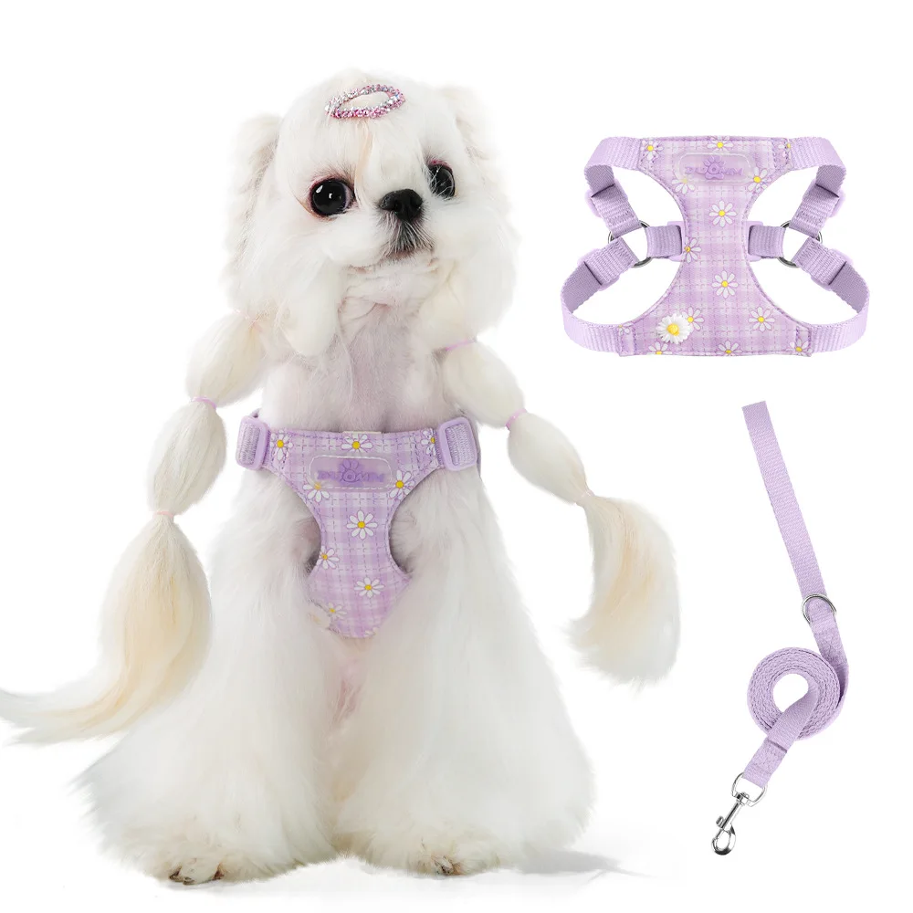 犬のお散歩グッズをコスパ良く揃える方法　完全ガイド