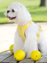犬用ハーネス リード ベスト型 小型犬 愛犬 お散歩 ペット 「ARKIKA」