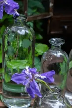 北欧風 小口透明ガラス水耕植物花瓶【インテリア・花挿し用】