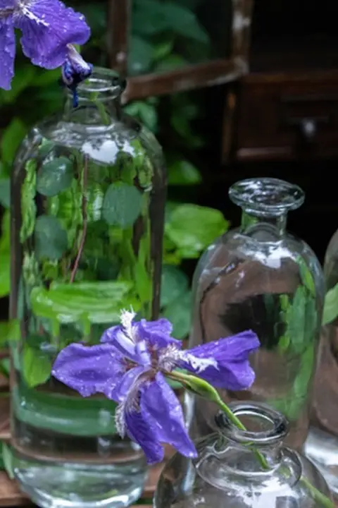 北欧風 小口透明ガラス水耕植物花瓶【インテリア・花挿し用】