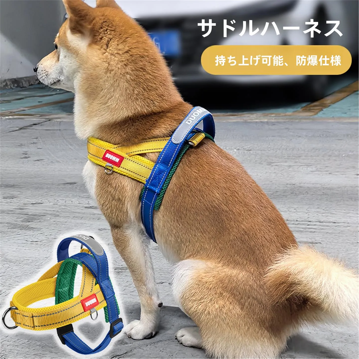 引っ張りを防ぐリードを選ぶときに、本当に大切なのは何？
