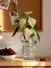 フェイクタピオカリーフ ガーデン装飾 室内装飾 緑の植物装飾