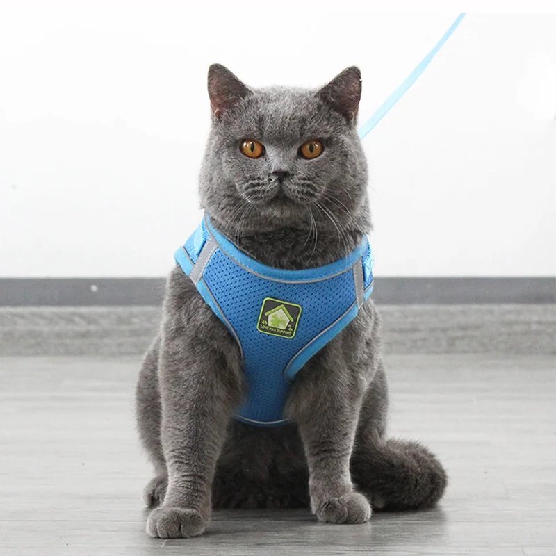 猫の脱走防止 リーシュ：災害時におけるペットの安全確保に最適な固定型防護アイテム