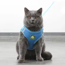 猫の脱走防止 リーシュ