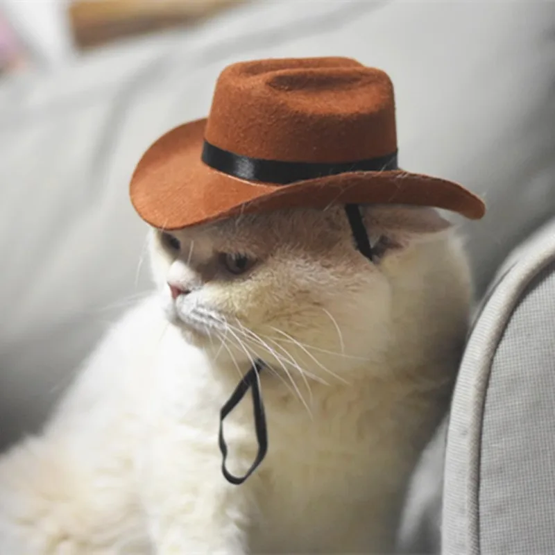 猫耳帽子 流行り なぜ？おすすめ3選と選び方の実践ノウハウ