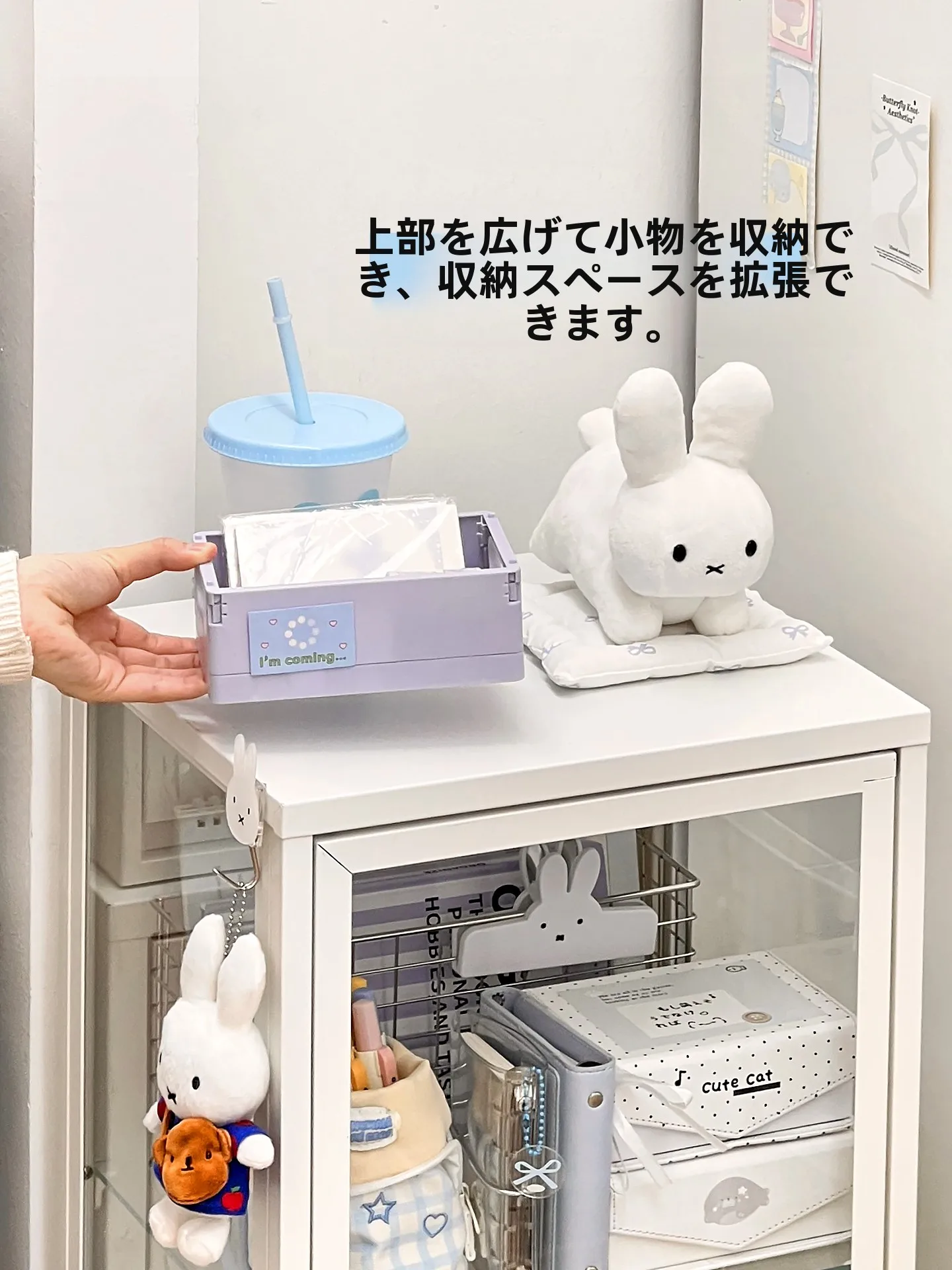 ガラスチェストの仕組みと実用性：スリムデザインの金属製収納キャビネット