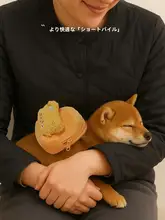 犬用バックパック【かわいいデザイン・お出かけ用・おやつ収納】