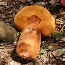 ぬいぐるみ クッション カピバラ 漢方 薬草 本 プレゼント