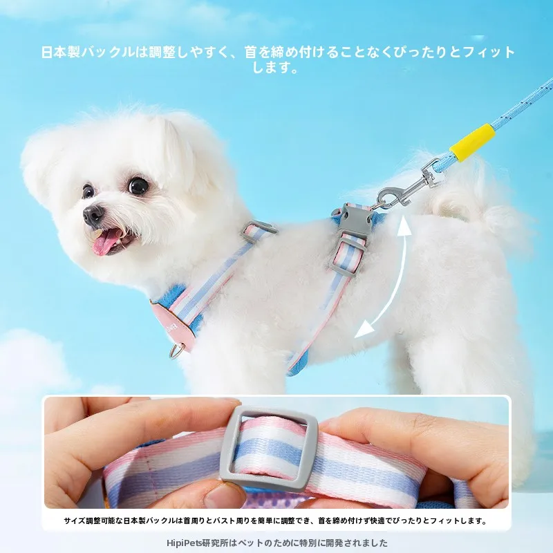 小型犬用ハーネス付きリード：胸部サポートと防咬機能を備えた実用性の検証