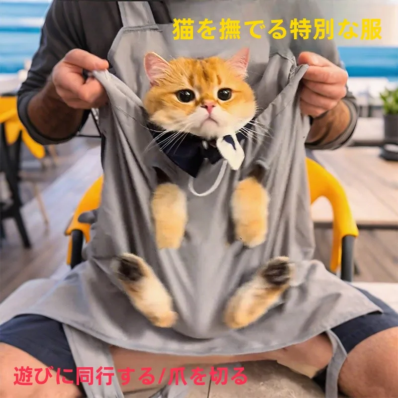 猫の服を着せたいのに、どうやって「飼いやすい」を選ぶの？