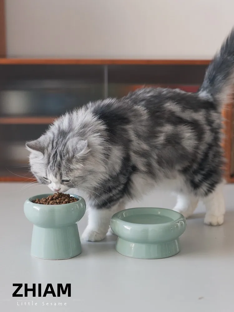 猫飼いが買ってよかったもの・悪かったもの正直に言う | 高脚陶器製ペットボウルの実用性と衛  生性