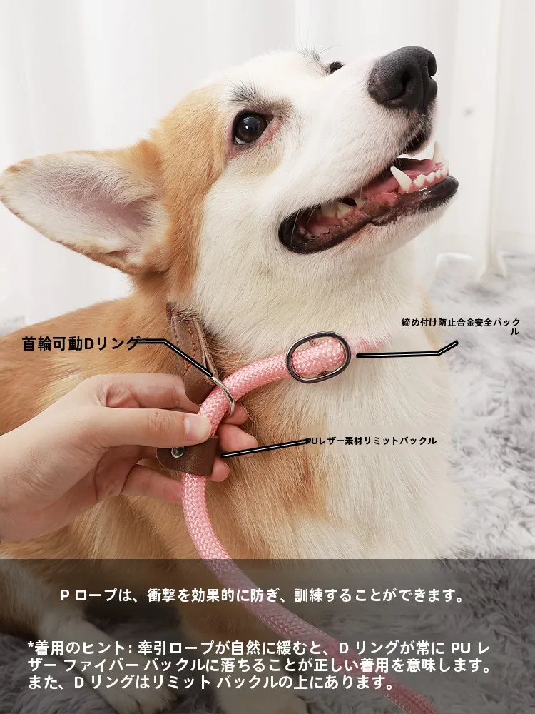 調整可能な反射材付き小型犬用リード：引っ張り防止機能と実用性の検証