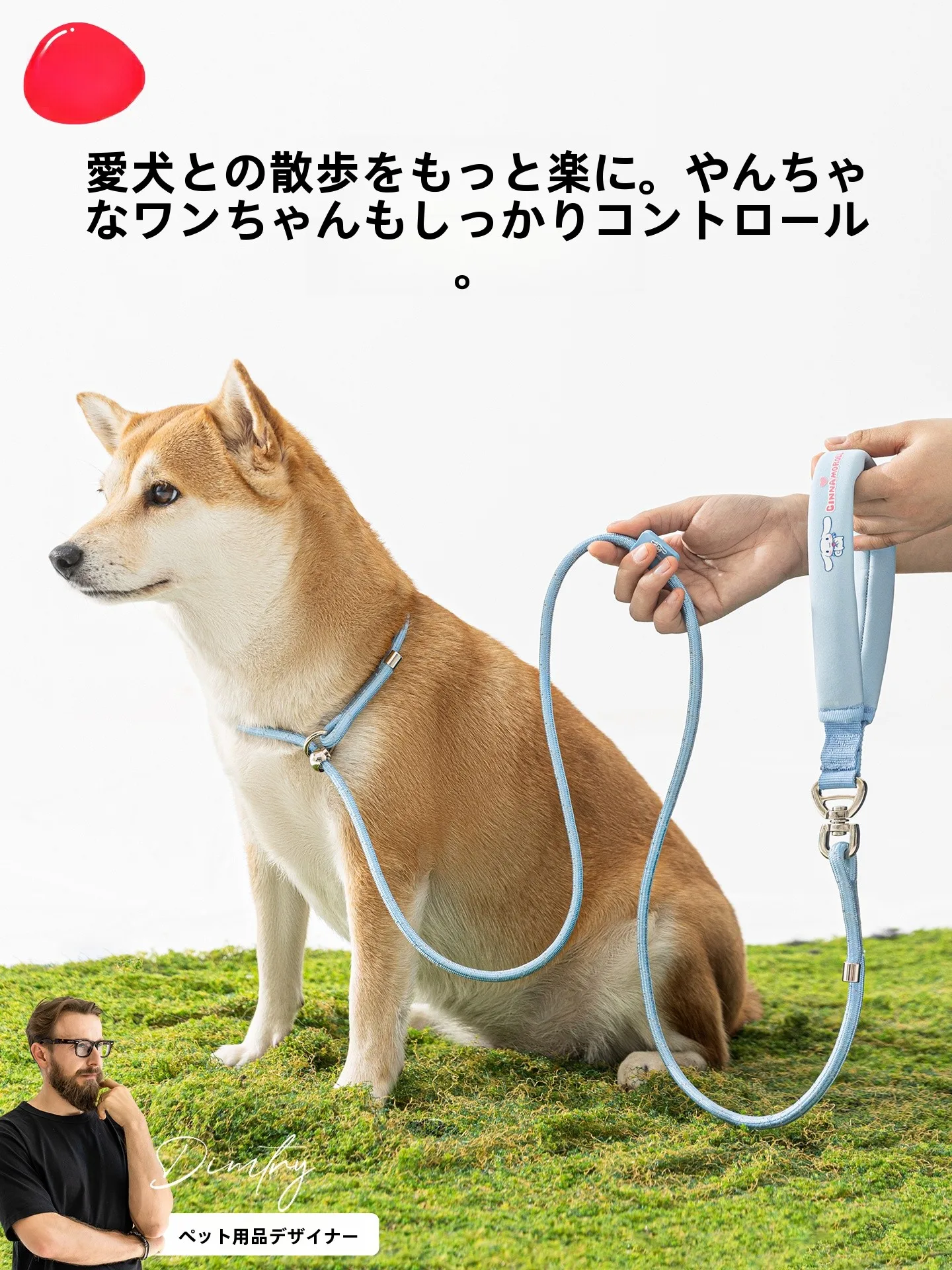 hipidog 小型犬用リード ハーネス：軽量かつ丈夫な散歩サポートの実用性を検証