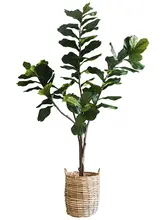 北欧風 大型人工観葉植物 モンステラ・バナナの木【ホテルロビー用・インテリア装飾】