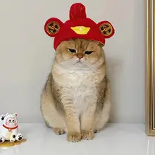猫用カートゥーンデザインのキャップ【可愛い・金色グラデーション・ペット用】