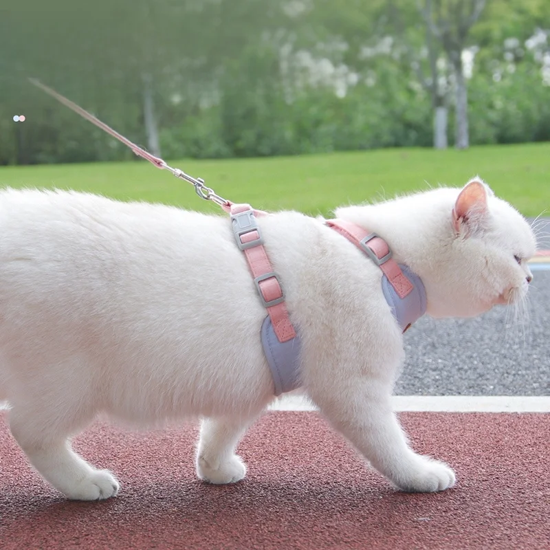 猫飼いが買ってよかったもの・悪かったもの正直に言う：ネコ用背中ハーネス型リードの実用性と選定基準