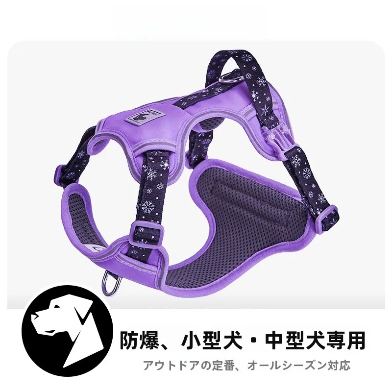 犬のお散歩グッズをコスパ良く揃える方法　完全ガイド