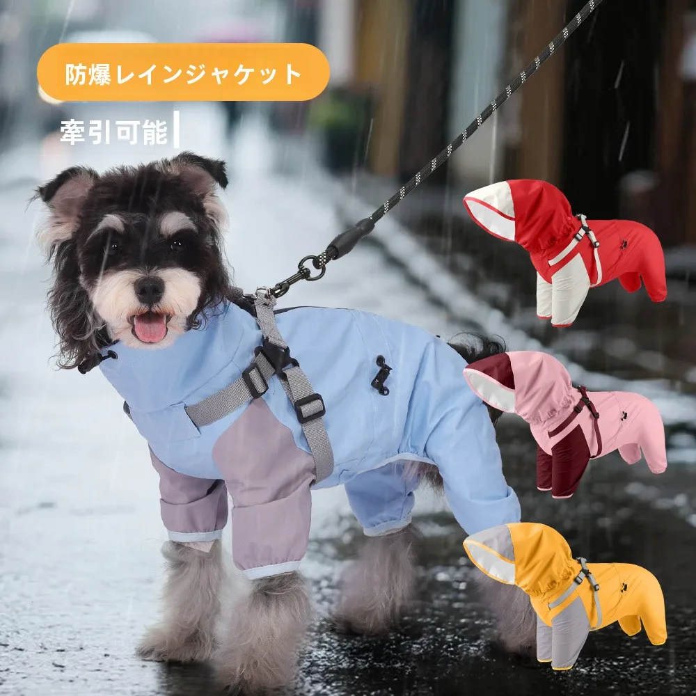 梅雨に備えて買うべき！｜愛犬の安全を守る防水レインコートの徹底解説