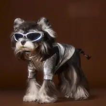 秋冬用犬用ジャケット【レザー風・シュナウザー・テディベア・ダックスフント・ヨークシャーテリア・マルチーズ・ビション・ポメラニアン対応】