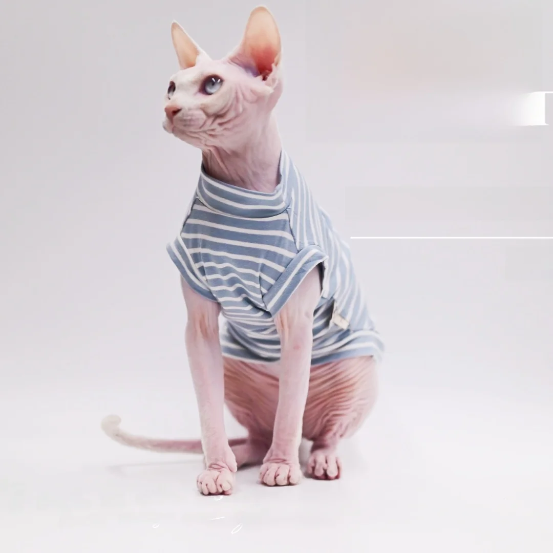 猫飼いが買ってよかったもの・悪かったもの正直に言う｜スフィンクス猫の服選び完全ガイド