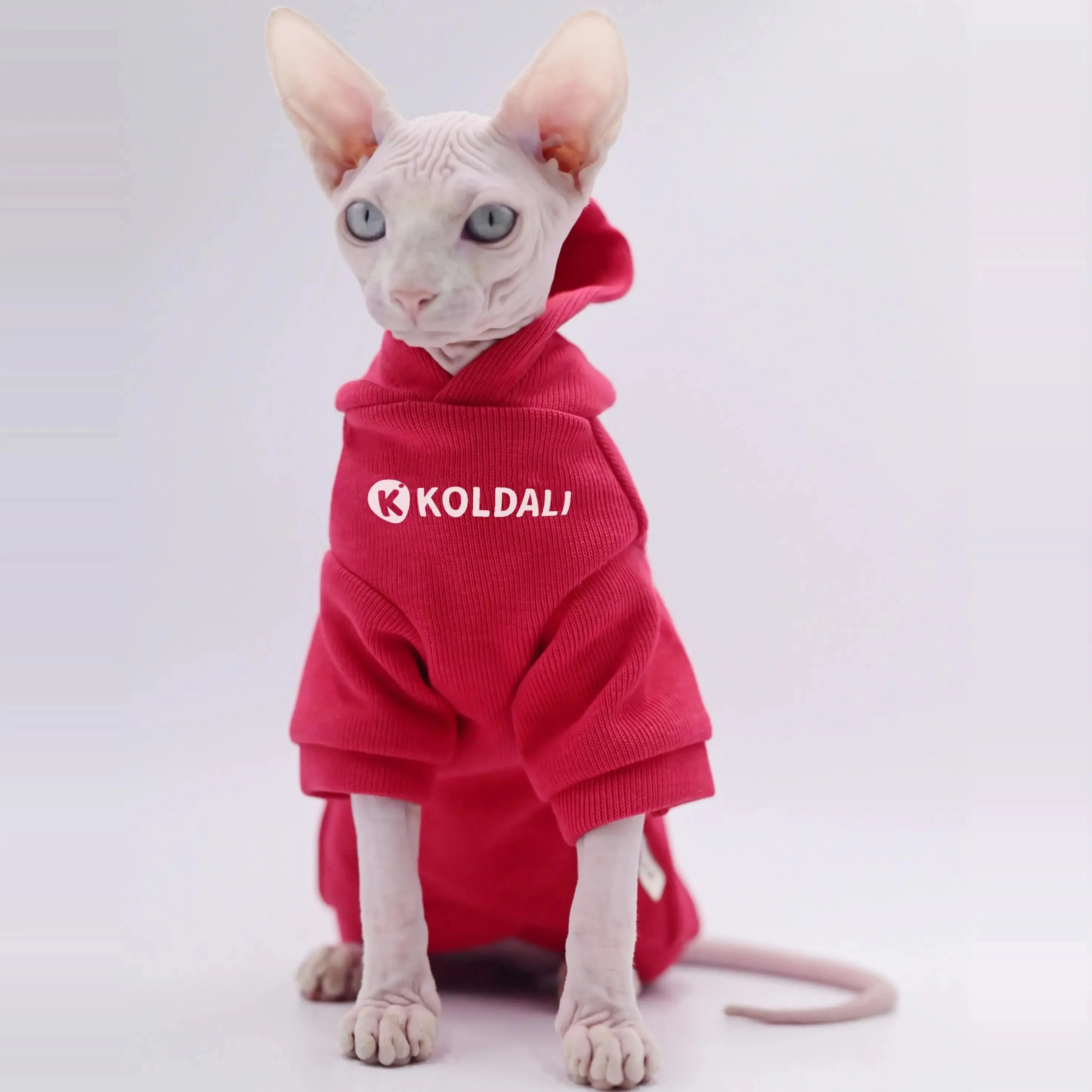 猫飼いが買ってよかったもの・悪かったもの正直に言う：スフィンクス猫用スポーツウェアの通気性とサイズ適応