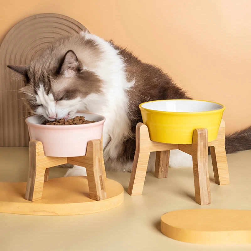 猫飼いが買ってよかったもの・悪かったもの正直に言う｜水飲み器の選び方と実測ガイド