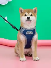 犬用ハーネスリード【中型犬対応・柴犬・胸部固定式・ペット用】