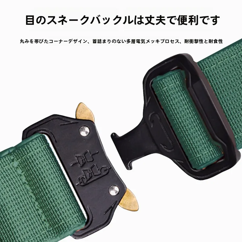 犬のお散歩グッズをコスパ良く揃える方法 - 中型・大型犬用首輪とリード付きの選定基準