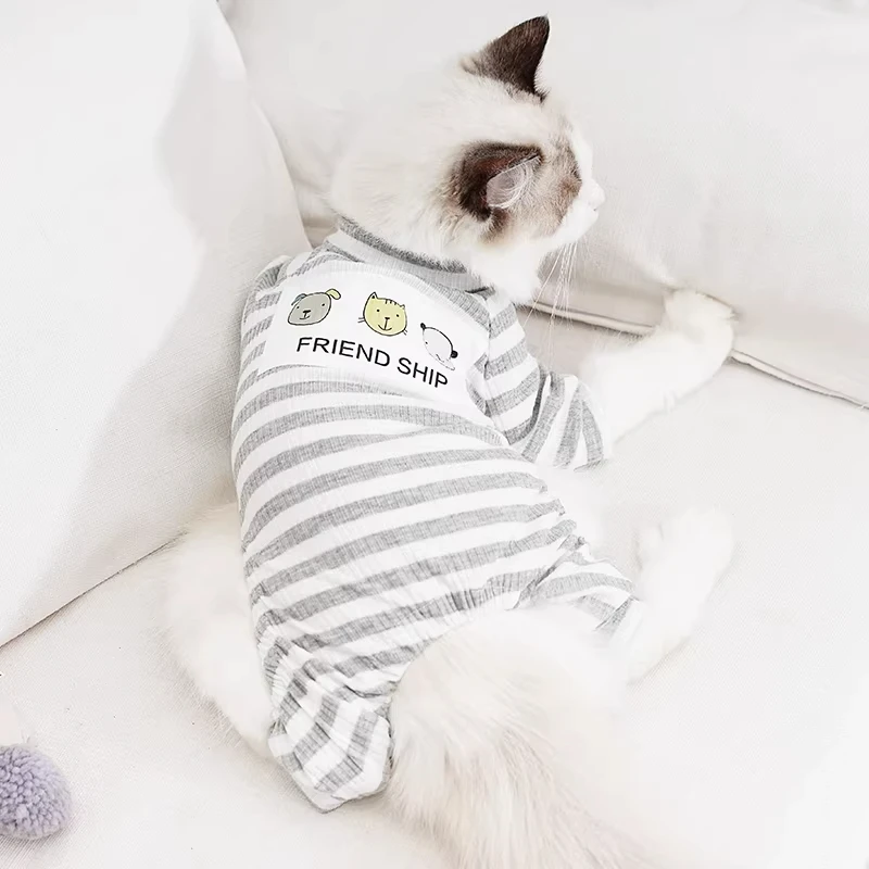 猫レディースとは？その魅力と実際の使い方を、日常のシーンで解き明かす